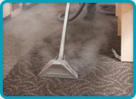 Professional Carpet Cleaning